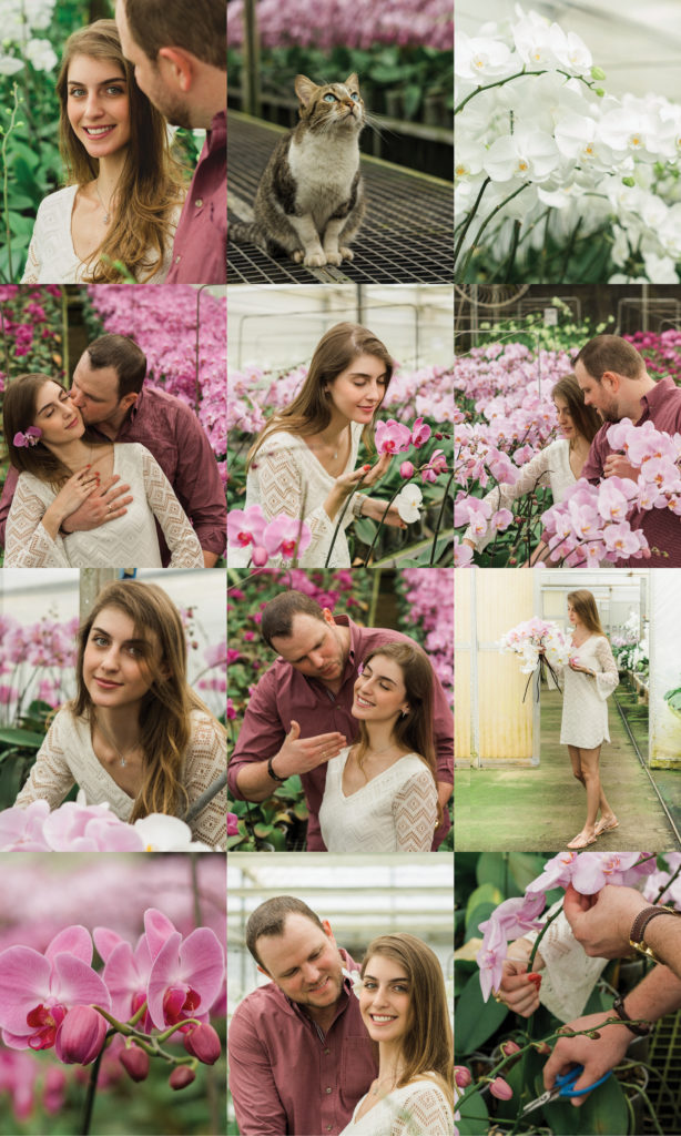 ensaio fotográfico de casal com orquídeas